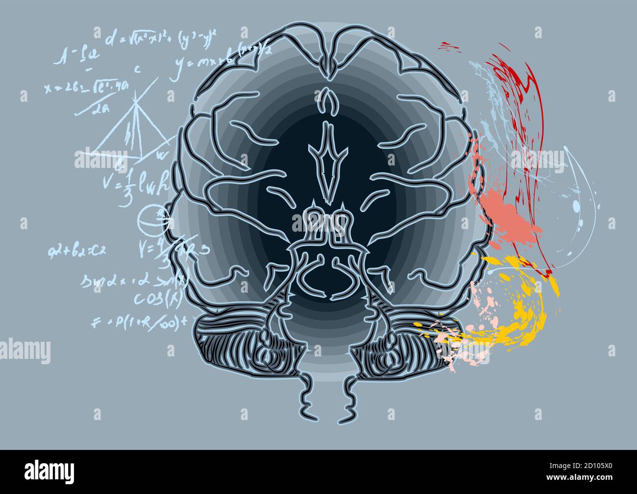 Creative concept of the human brain, vector illustration Stock Vector ...