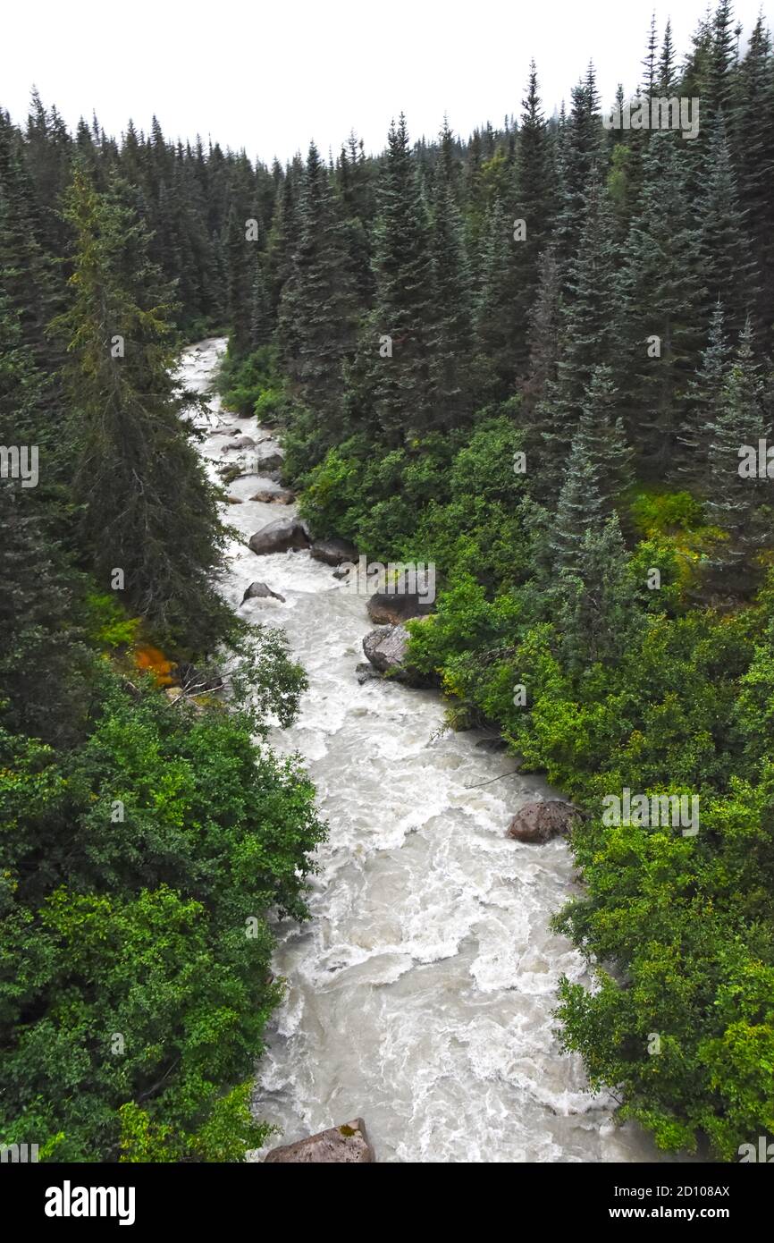 Strong stream runs in a forest Stock Photo