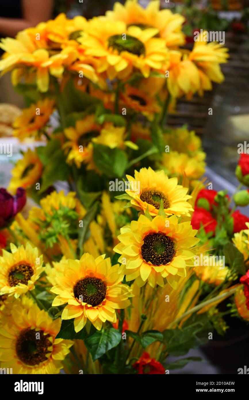 Decorative sunflowers in a floor vase Stock Photo - Alamy