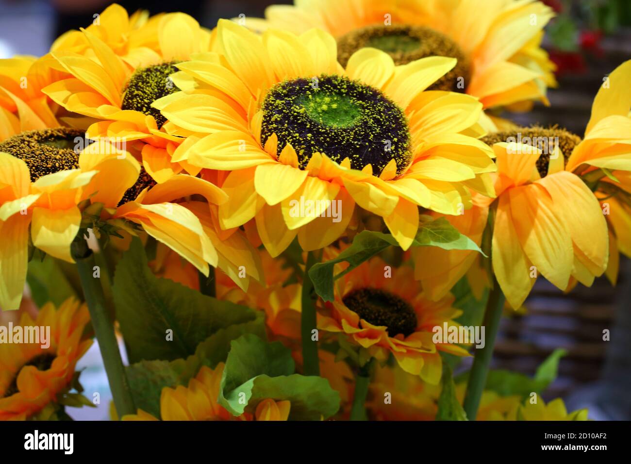 Decorative sunflowers in a floor vase Stock Photo Alamy