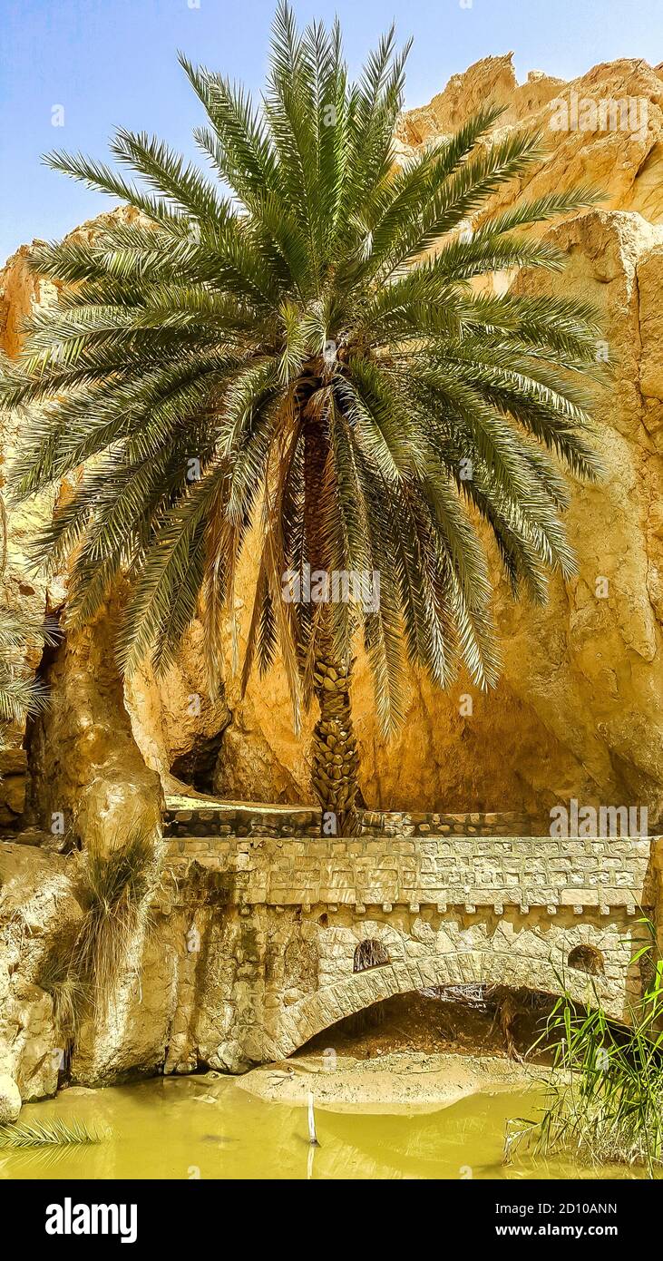 Mountain oasis Chebika in Sahara desert. Tunisia Stock Photo - Alamy