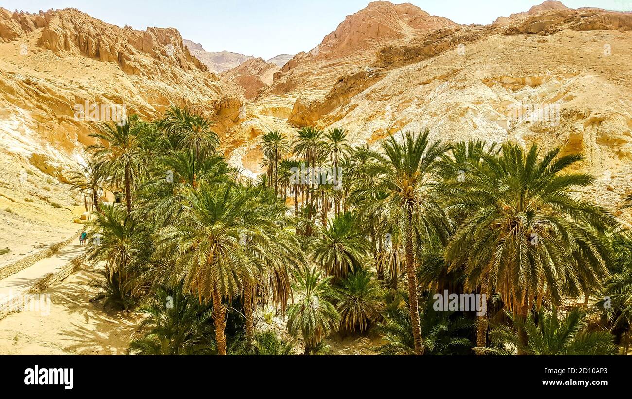 Mountain oasis Chebika in Sahara desert. Tunisia Stock Photo - Alamy