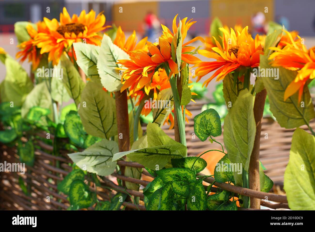 Decorative sunflowers in a floor vase Stock Photo Alamy