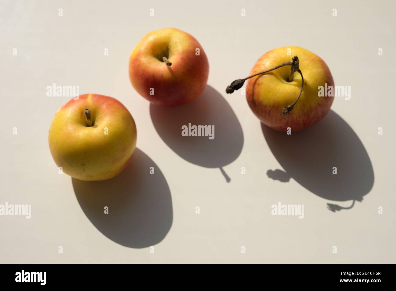 Three yellow orange apples on a white sunny table. Stock Photo