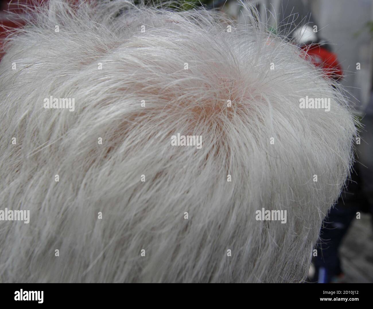 Older gray hair man hi-res stock photography and images - Alamy