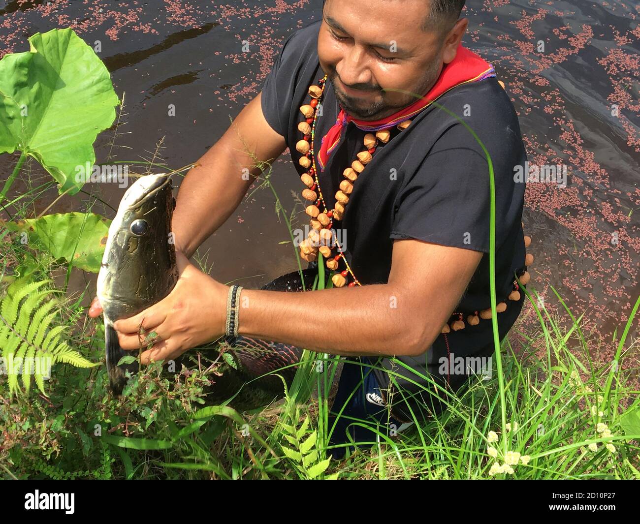 Amazon rainforest indigenous use hi-res stock photography and images ...