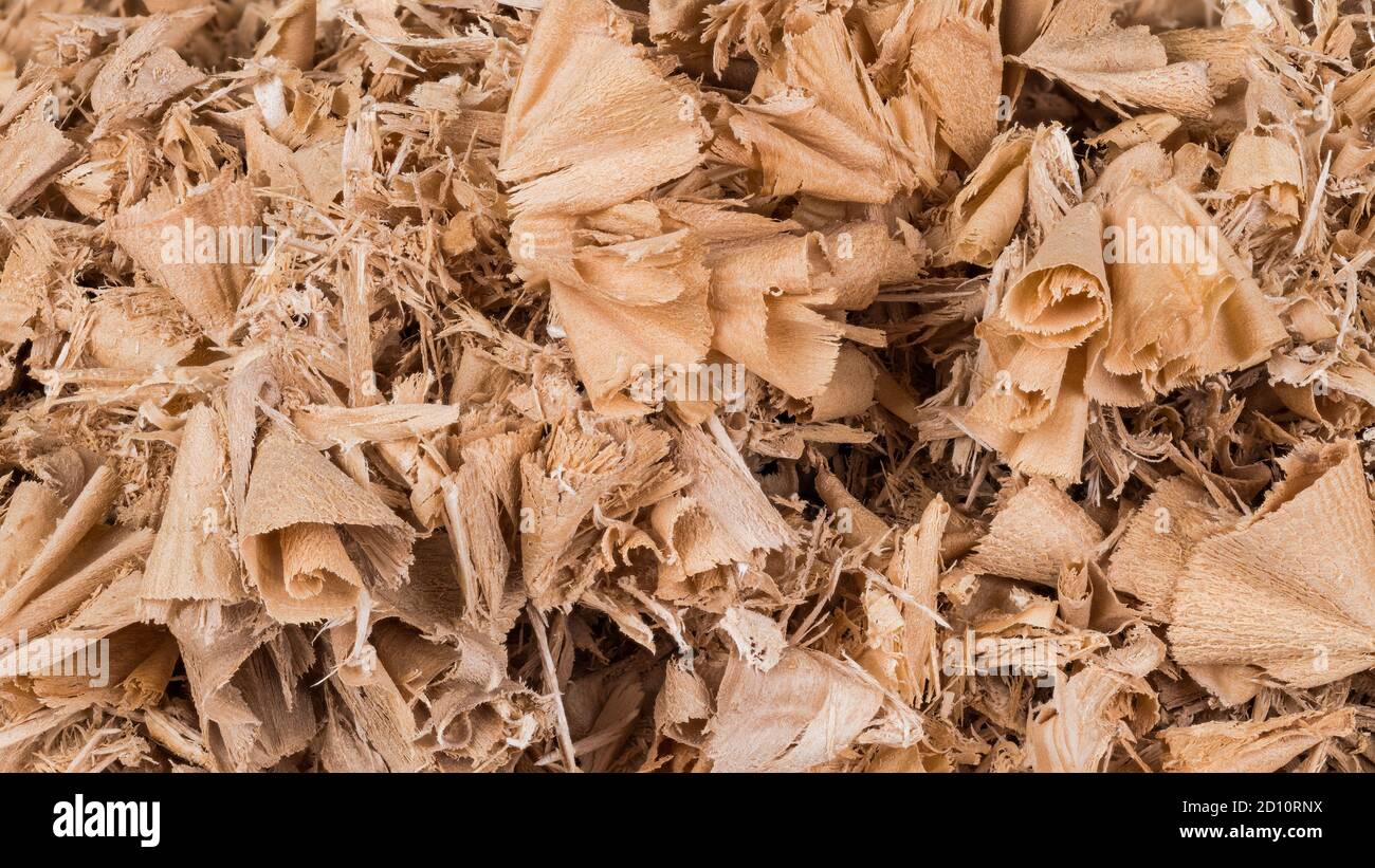 Twisted wood shavings closeup as decorative beige background. Abstract detail of milling, routing or drilling by-product. Woodwork waste pile texture. Stock Photo