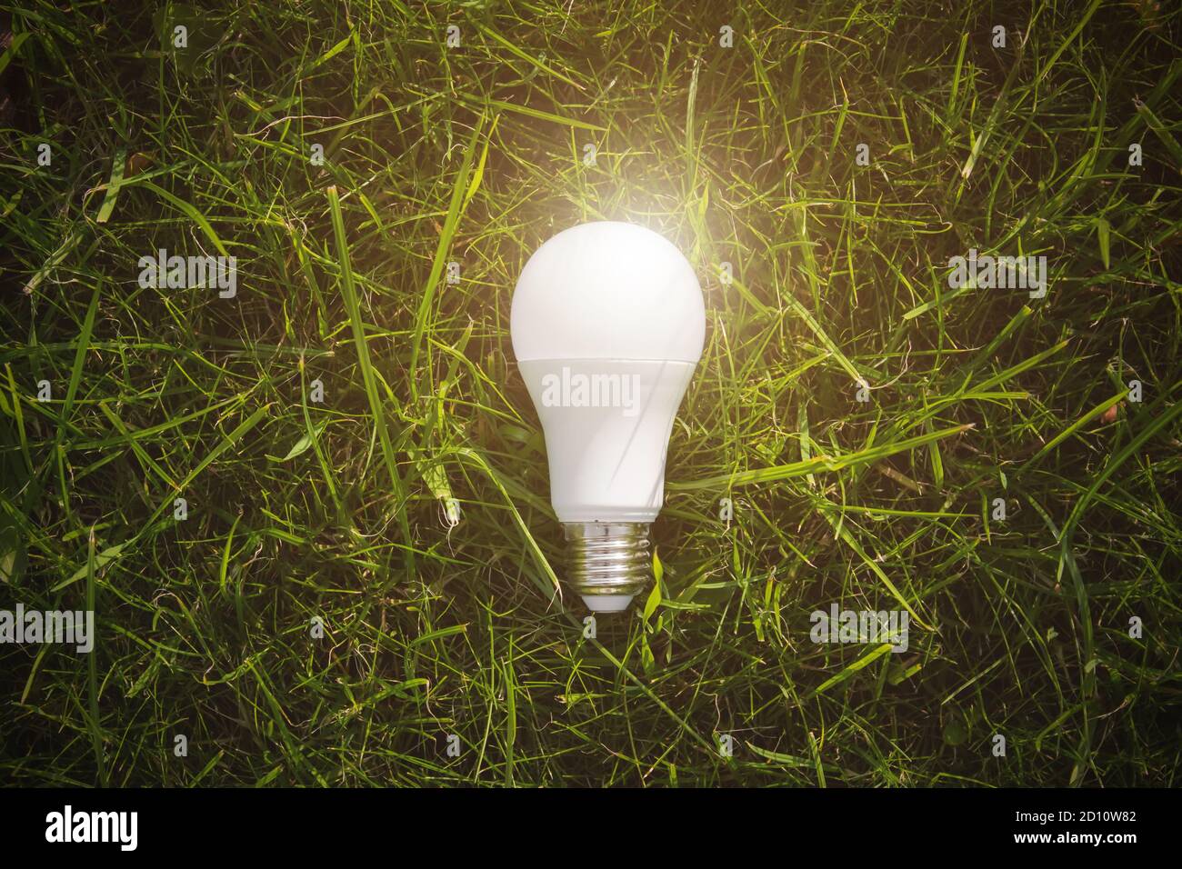 Alternative technology concept. Lightbulb in green nature in bright light. Copy space for text Stock Photo