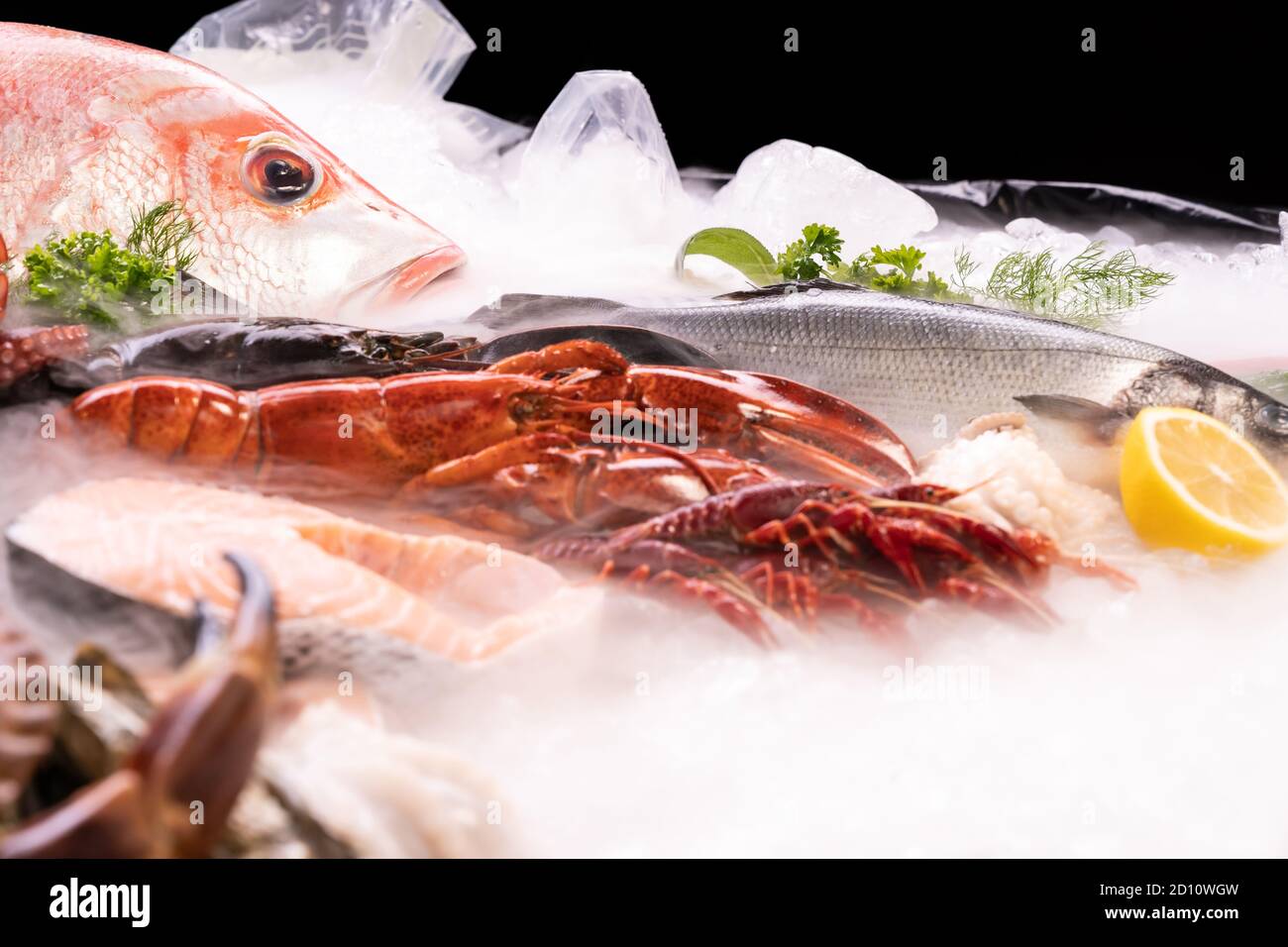 Side view of variety of fresh luxury seafood, Lobster Snapper Crayfish sea bass prawn octopus, on ice background with icy smoke in seafood market with Stock Photo