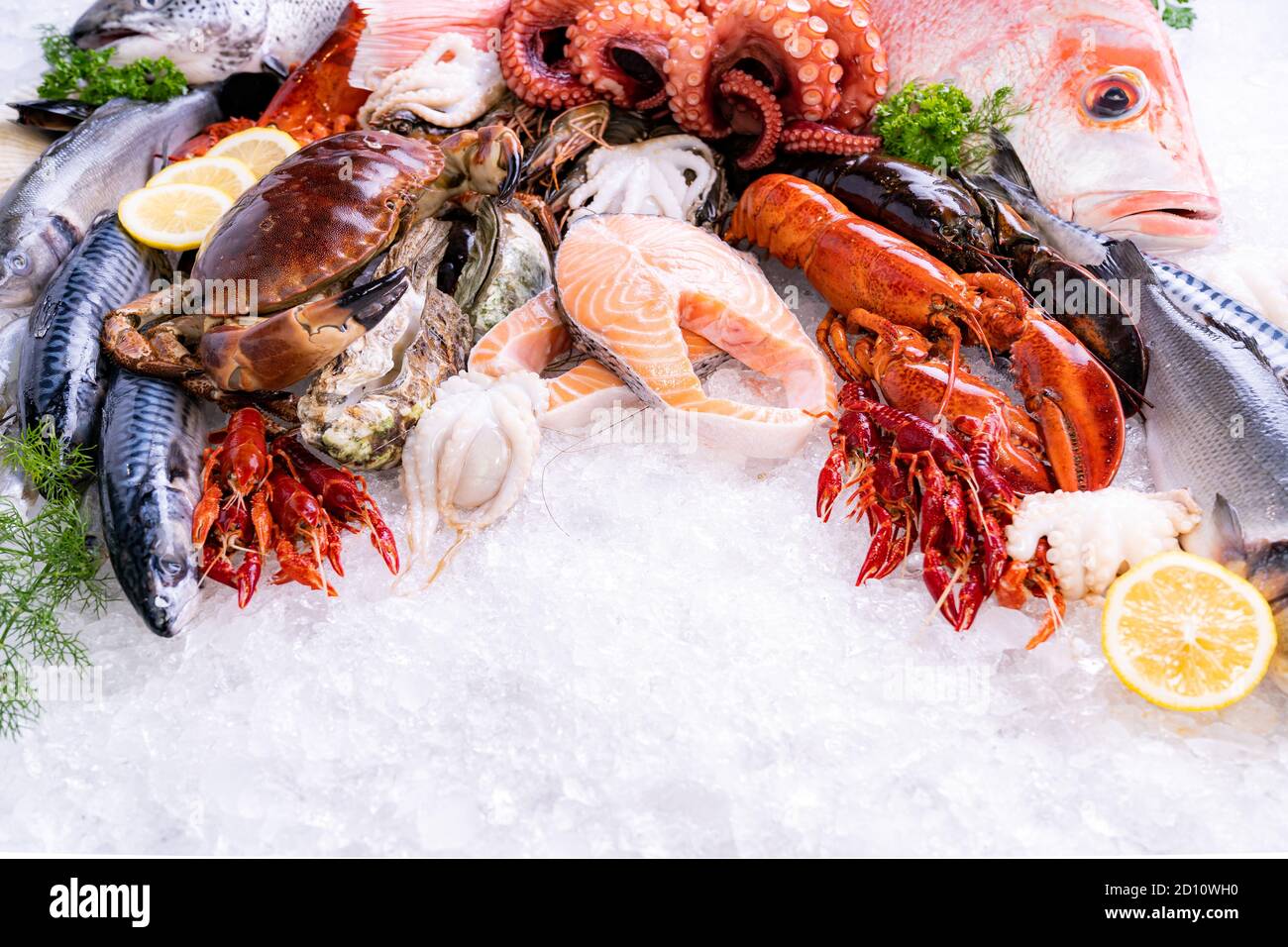 Front view of variety of fresh luxury seafood, Lobster salmon stone ...