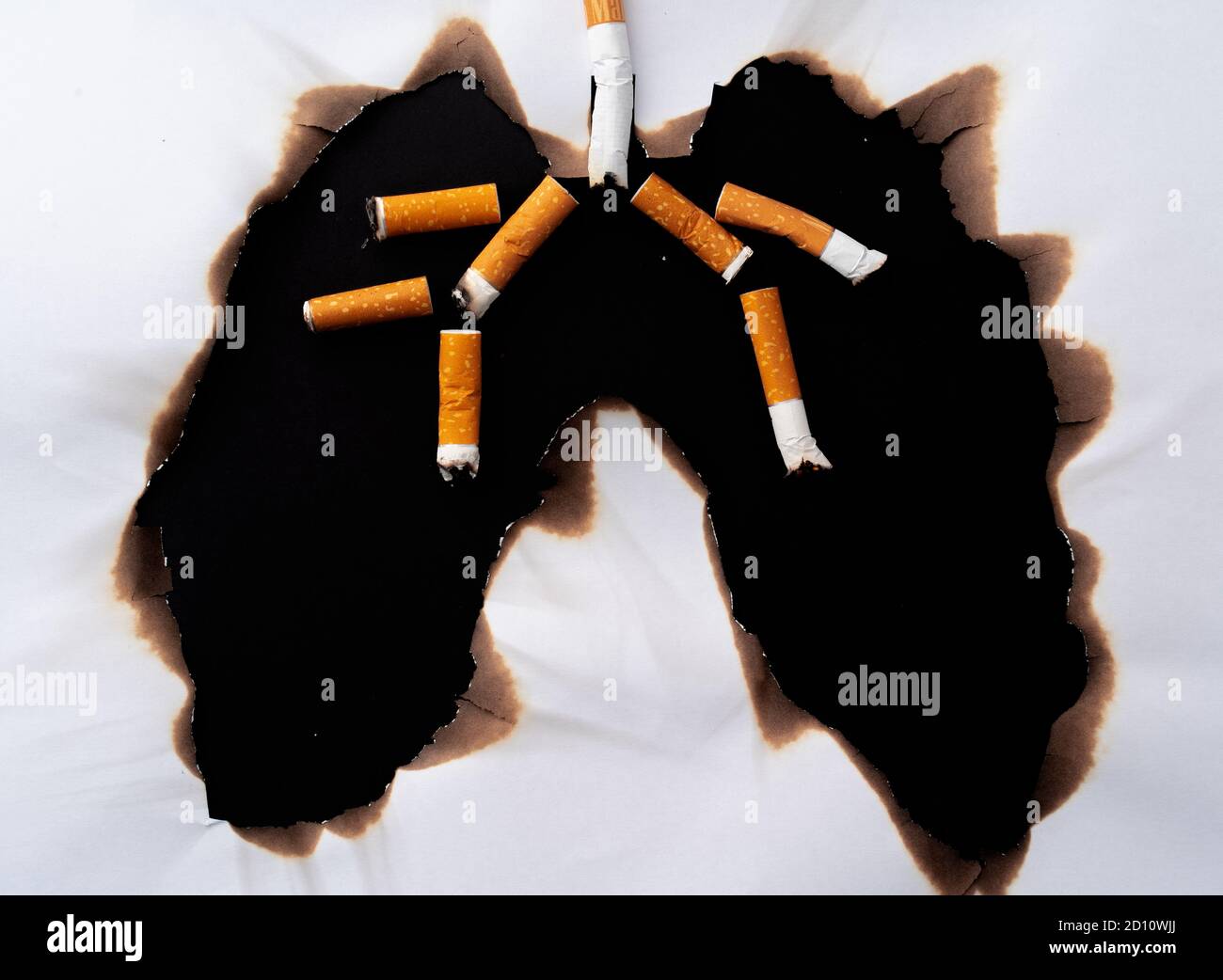 black lungs from smoking cigarettes DYK? can damage the lungs, which can turn the lung tissue a darker color than healthy lung tissue. Keep your healthystay smoke free. #HealthyLungMonth Graphic Video of Black Cigarette-Damaged