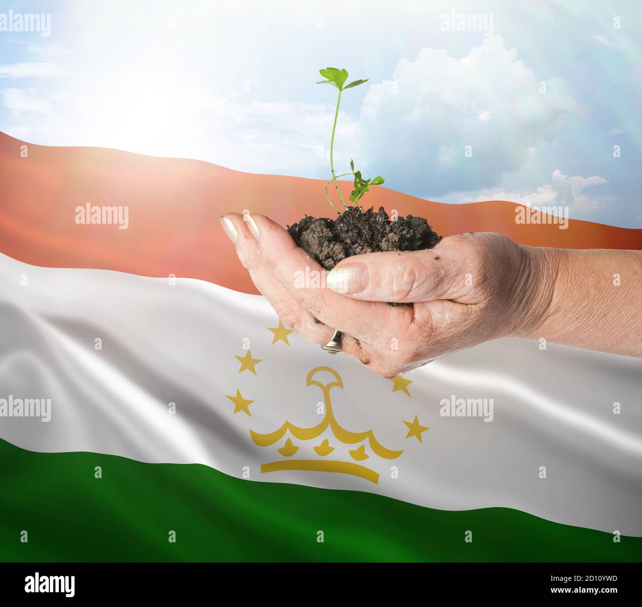 Tajikistan growth and new beginning. Green renewable energy and ecology concept. Hand holding young plant. Stock Photo