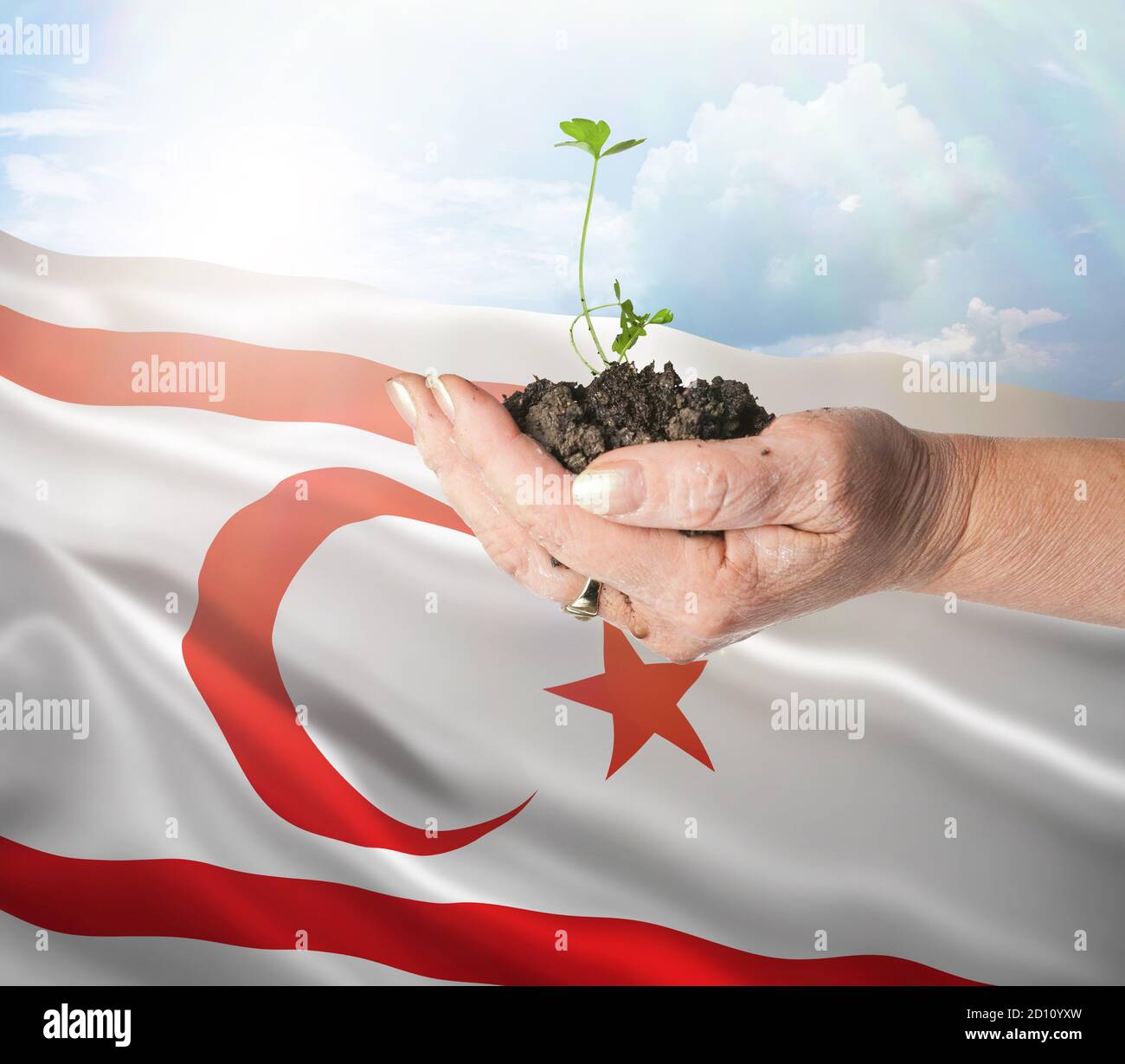 Turkish Republic of Northern Cyprus growth and new beginning. Green renewable energy and ecology concept. Hand holding young plant. Stock Photo