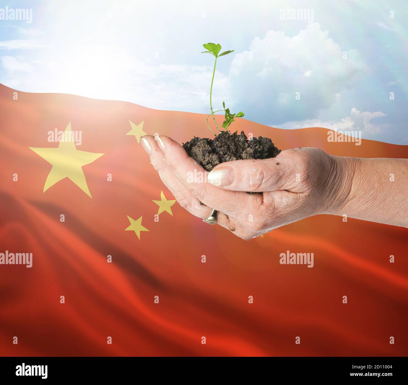 Peoples Republic of China growth and new beginning. Green renewable energy and ecology concept. Hand holding young plant. Stock Photo