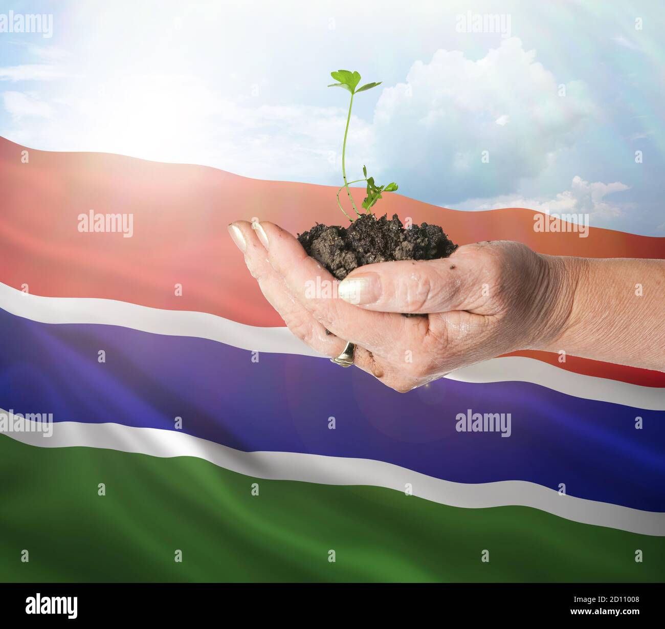 Gambia growth and new beginning. Green renewable energy and ecology concept. Hand holding young plant. Stock Photo