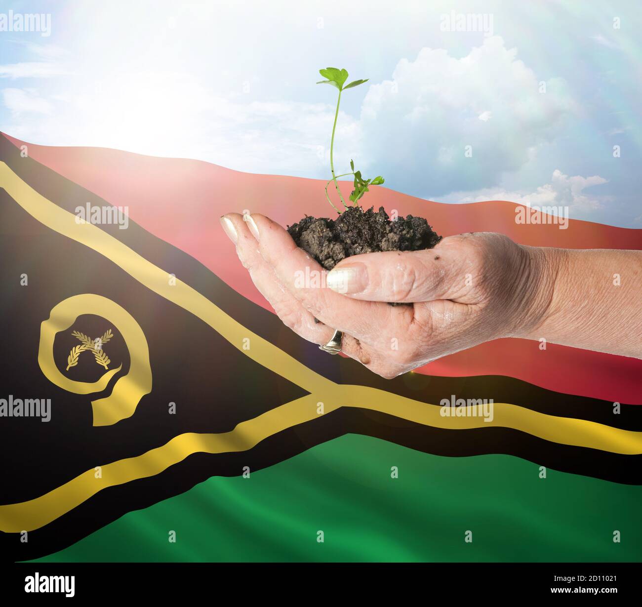 Vanuatu growth and new beginning. Green renewable energy and ecology concept. Hand holding young plant. Stock Photo