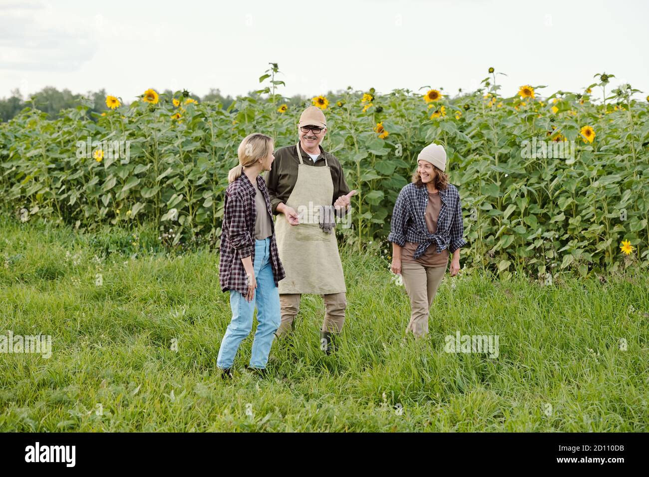 Three cheerful friendly people moving down green grass along sunflower