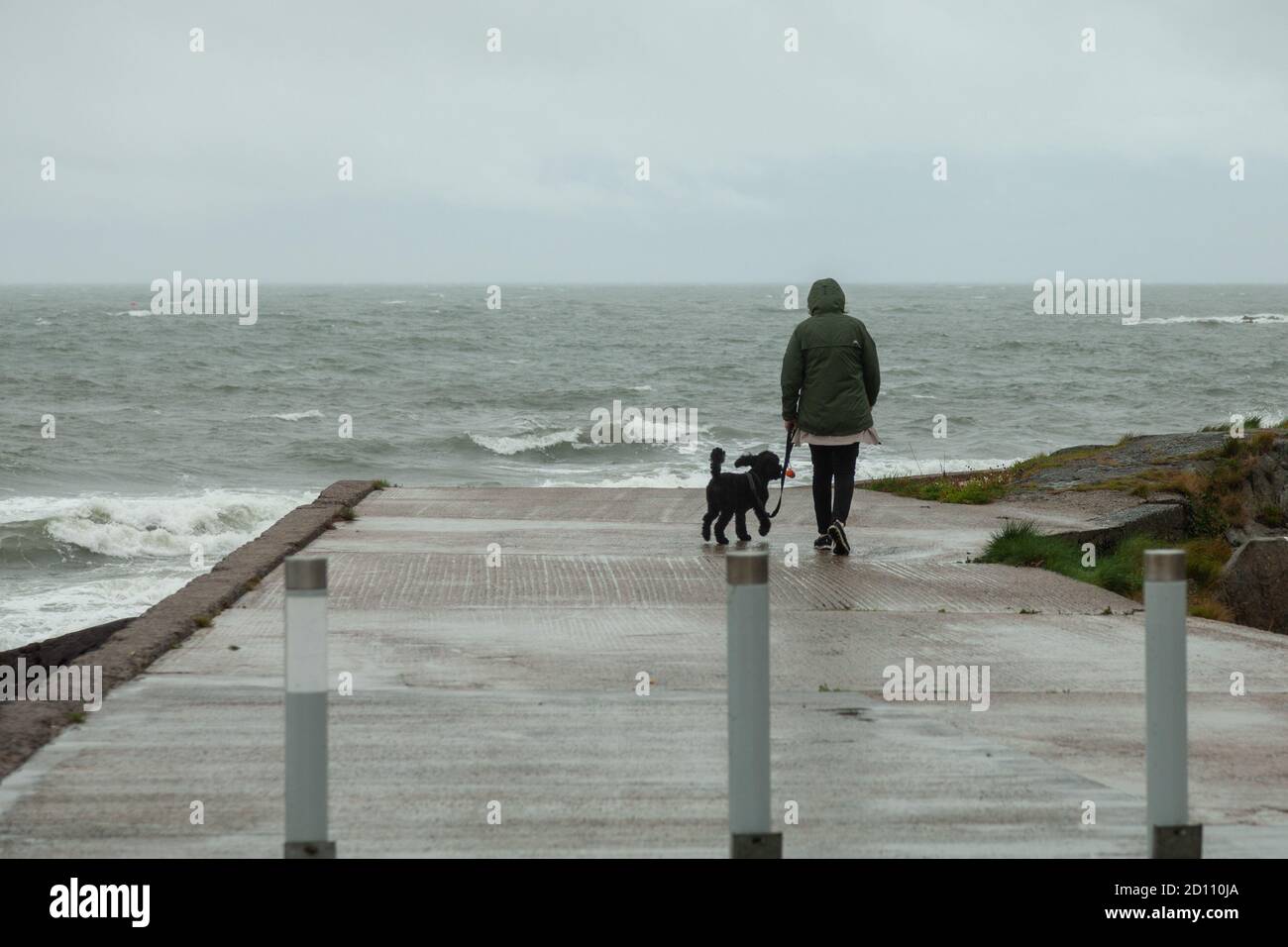 Bangor, Northern Ireland, UK, 4 October 2020: A woman stops to look out to sea at The Long Hole while walking the dog on a wet and windy day at the seaside town. More rain is forecast into tomorrow Stock Photo