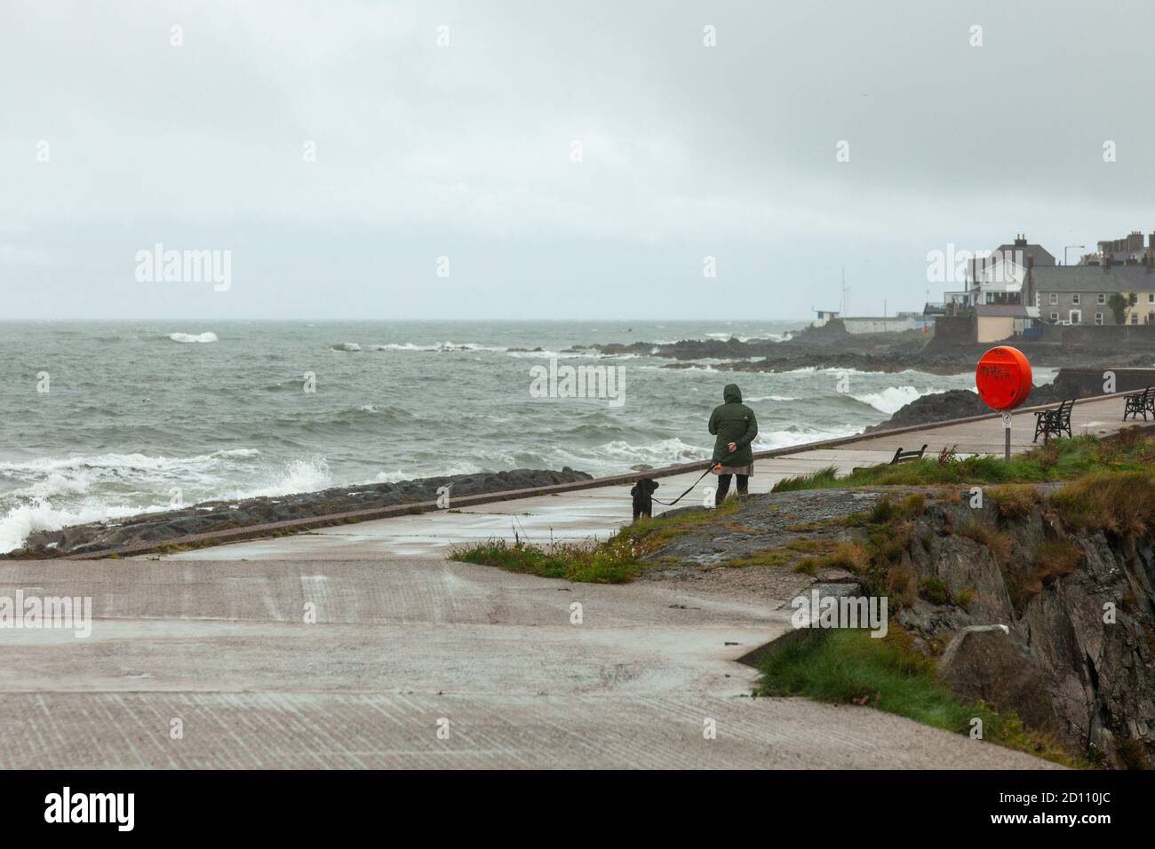 Bangor, Northern Ireland, UK, 4 October 2020: A woman stops to look out to sea at The Long Hole while walking the dog on a wet and windy day at the seaside town. More rain is forecast into tomorrow Stock Photo