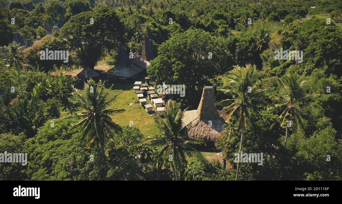 Traditional village with ornately roofs houses of village at tropic green landscape of Sumba Island. Unique architecture landmark of hives, homes with soar into sky at countryside way Stock Photo