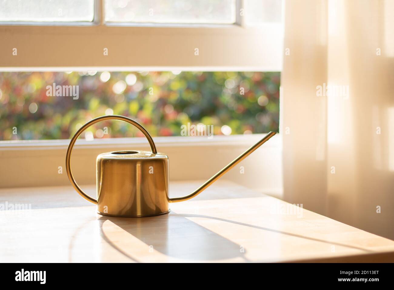 A fancy indoor watering can for plants in a beautifully designed home or apartment interior. Stock Photo