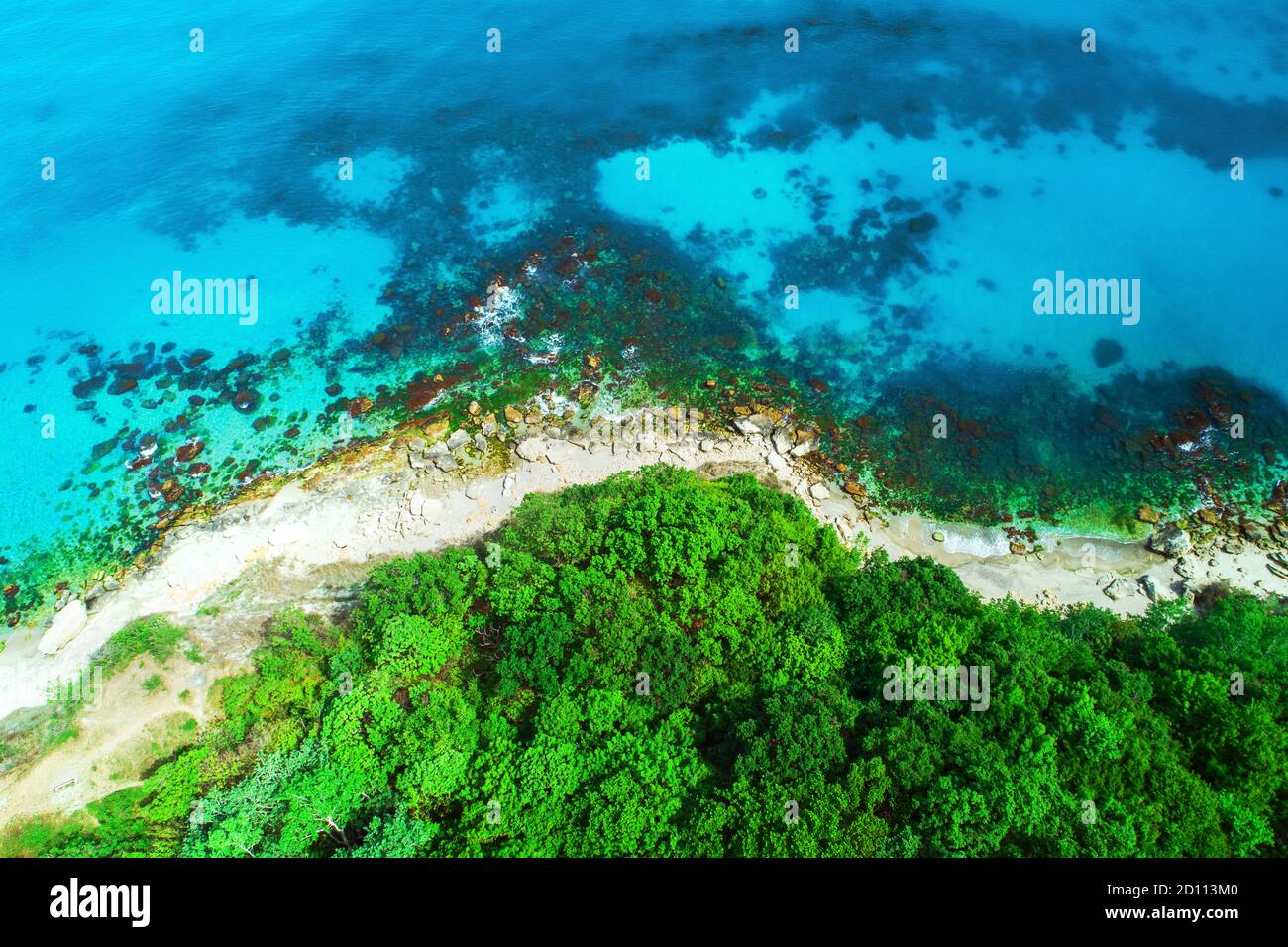 Aerial view of wild beach and forest Stock Photo