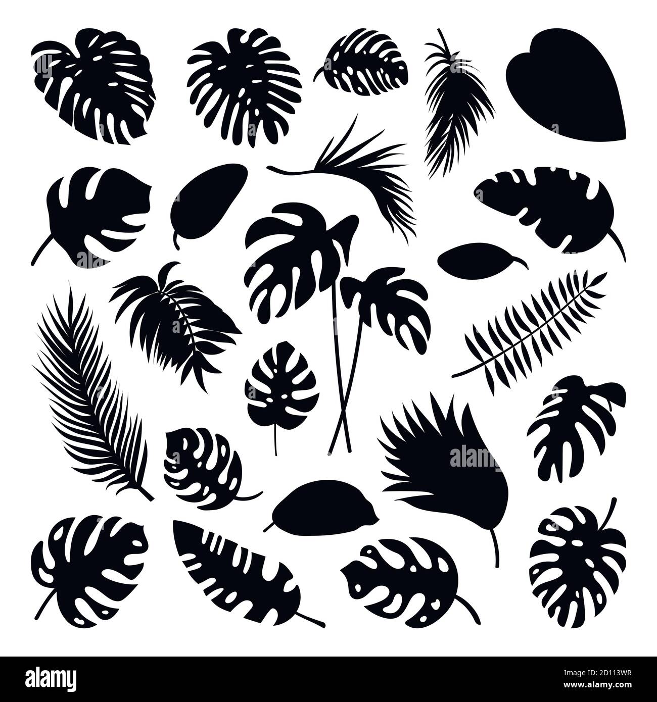 Tropical leaves collection. Vector isolated elements on the white ...