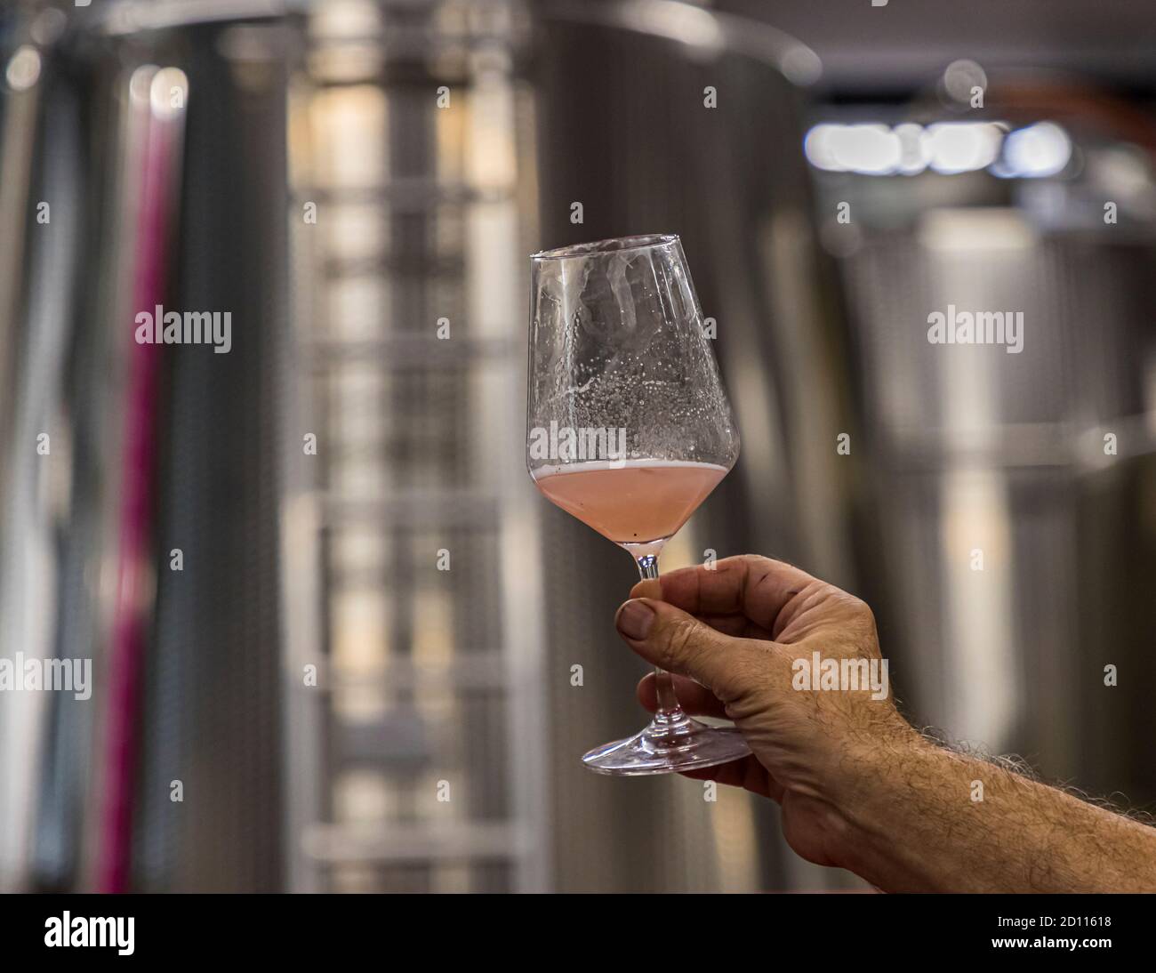 Wine tasting in a Ticino winery, Circolo di Balerna, Switzerland Stock Photo