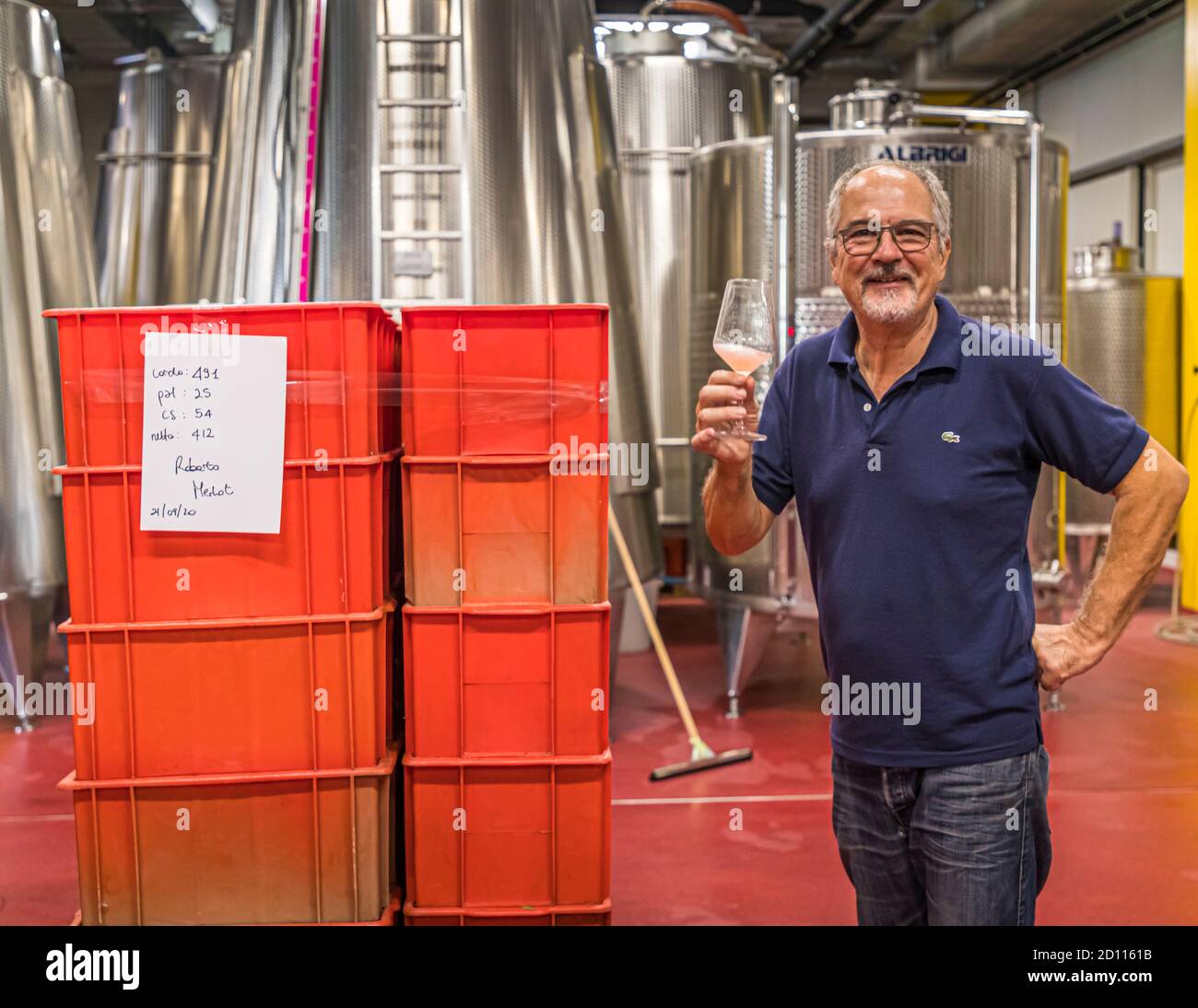 Wine tasting in a Ticino winery, Circolo di Balerna, Switzerland Stock Photo