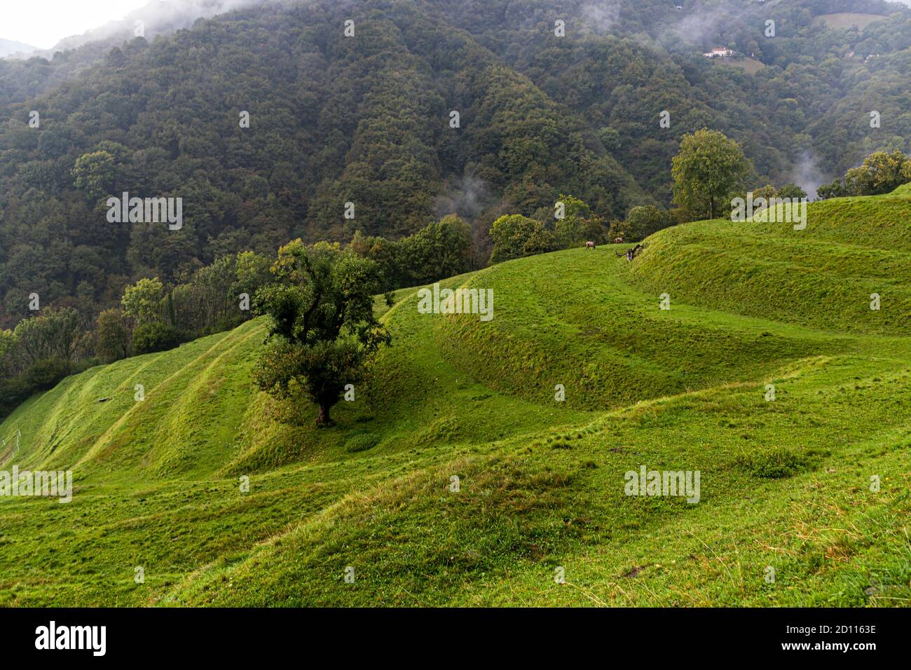 Impressions in the Ticino Muggio Valley, Breggia, Switzerland Stock Photo