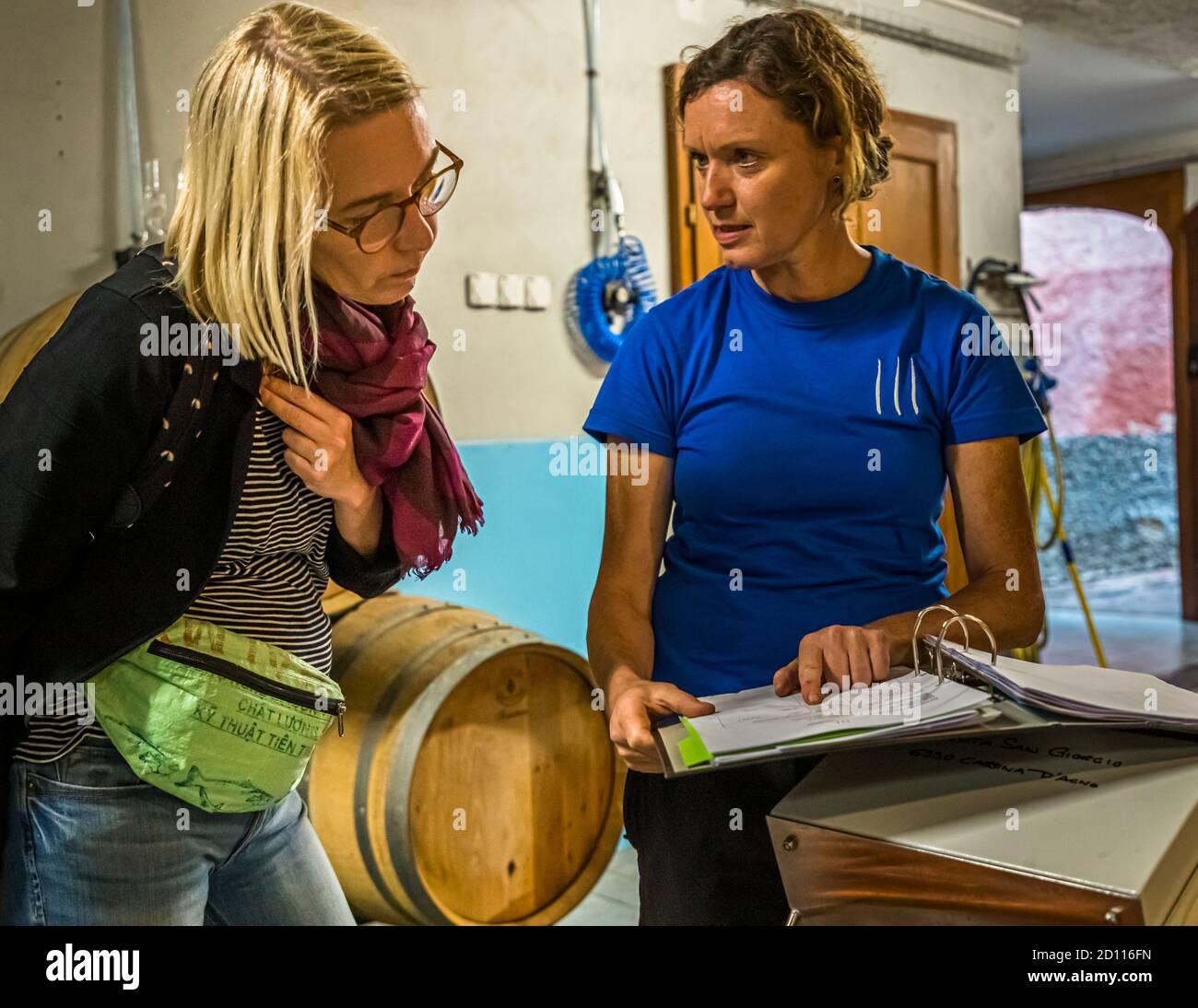 Visit to a Ticino winery, Circolo d'Agno, Switzerland Stock Photo