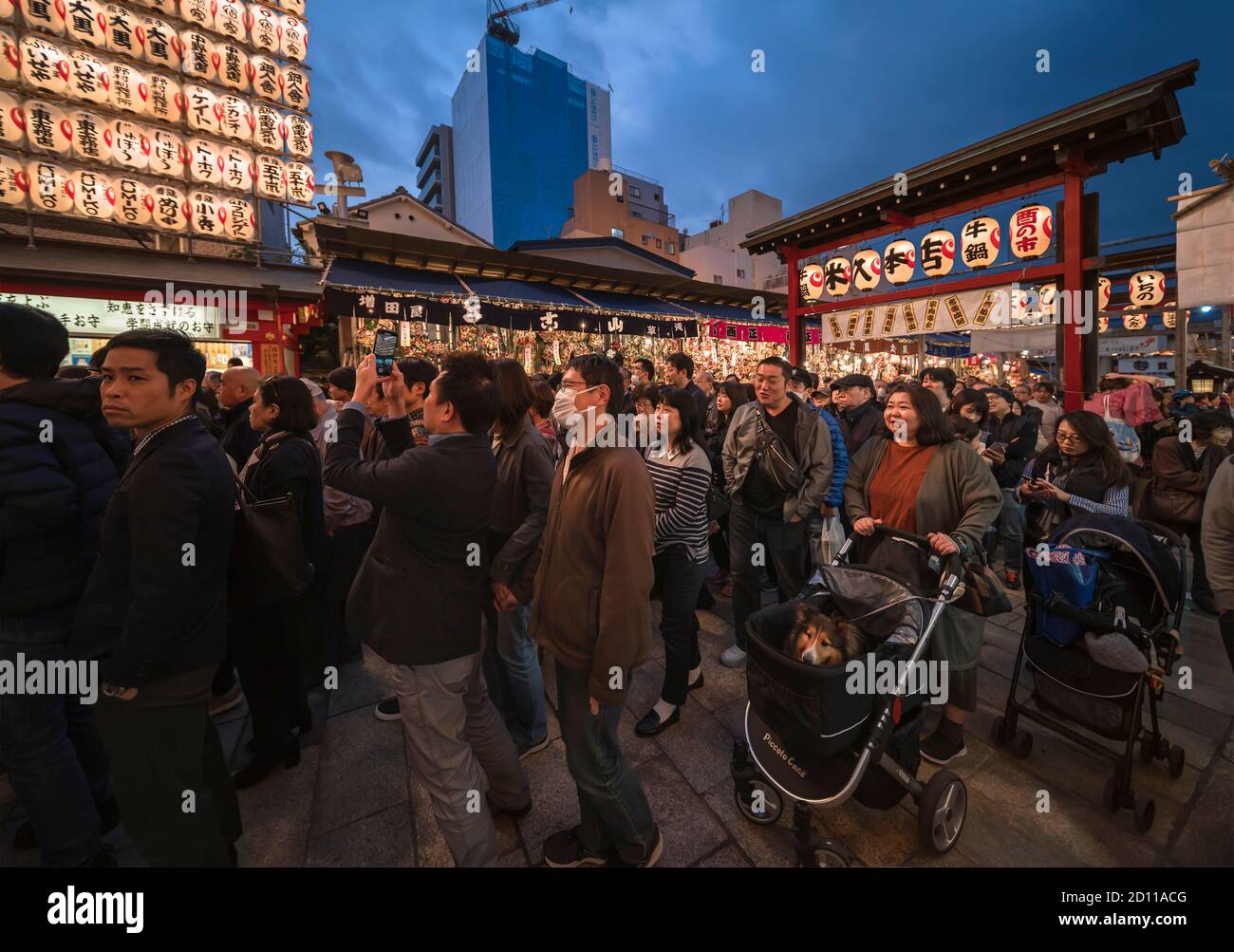 asakusa, japan - november 08 2019: Woman line up and carrying her dog in a cart to enter the Ootori shrine decorated at night with luminous paper lant Stock Photo