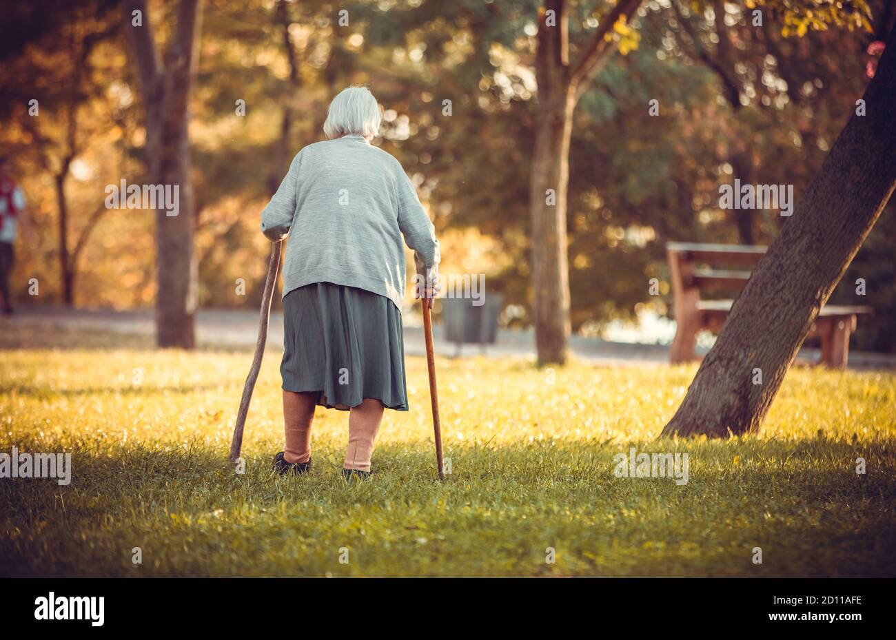 Senior woman with canes walking in autumn park, rear view Stock Photo