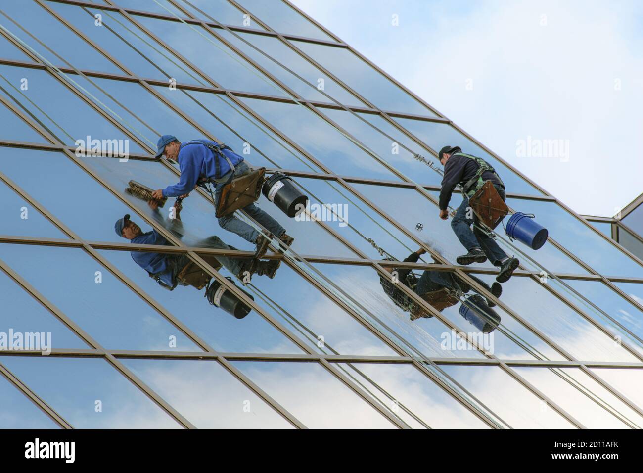two maintenance workers cleaning windows of tall glass building Stock Photo
