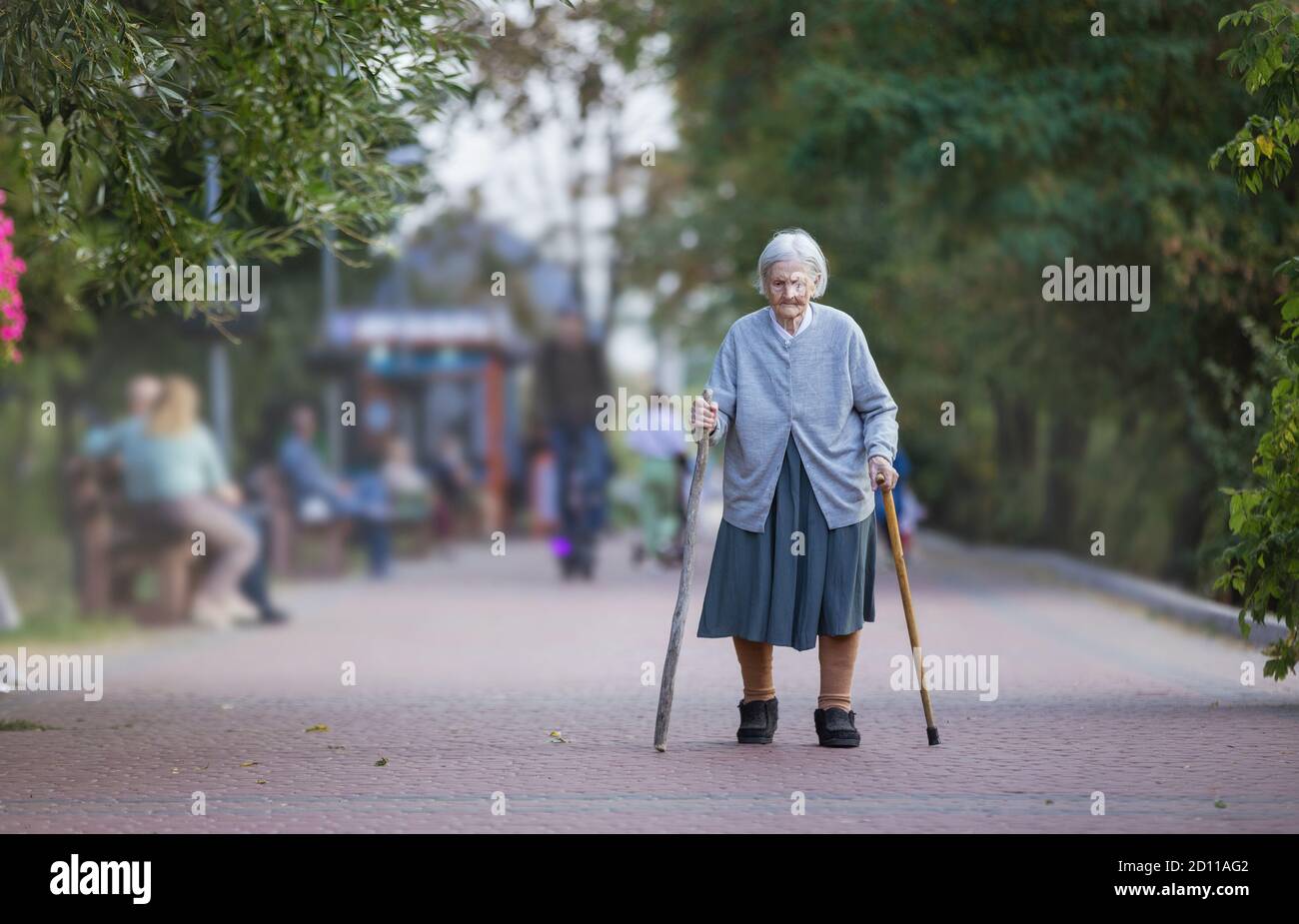Senior woman with two canes walking in park Stock Photo