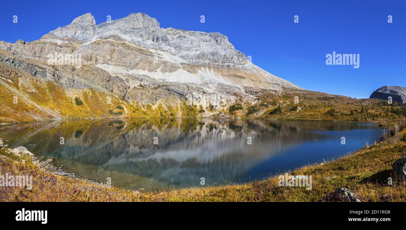 High Resolution Panoramic Landscape Image. Beautiful Hidden Lake and Golden Autumn Colors, Skoki Region, Banff National Park, Canadian Rocky Mountains Stock Photo