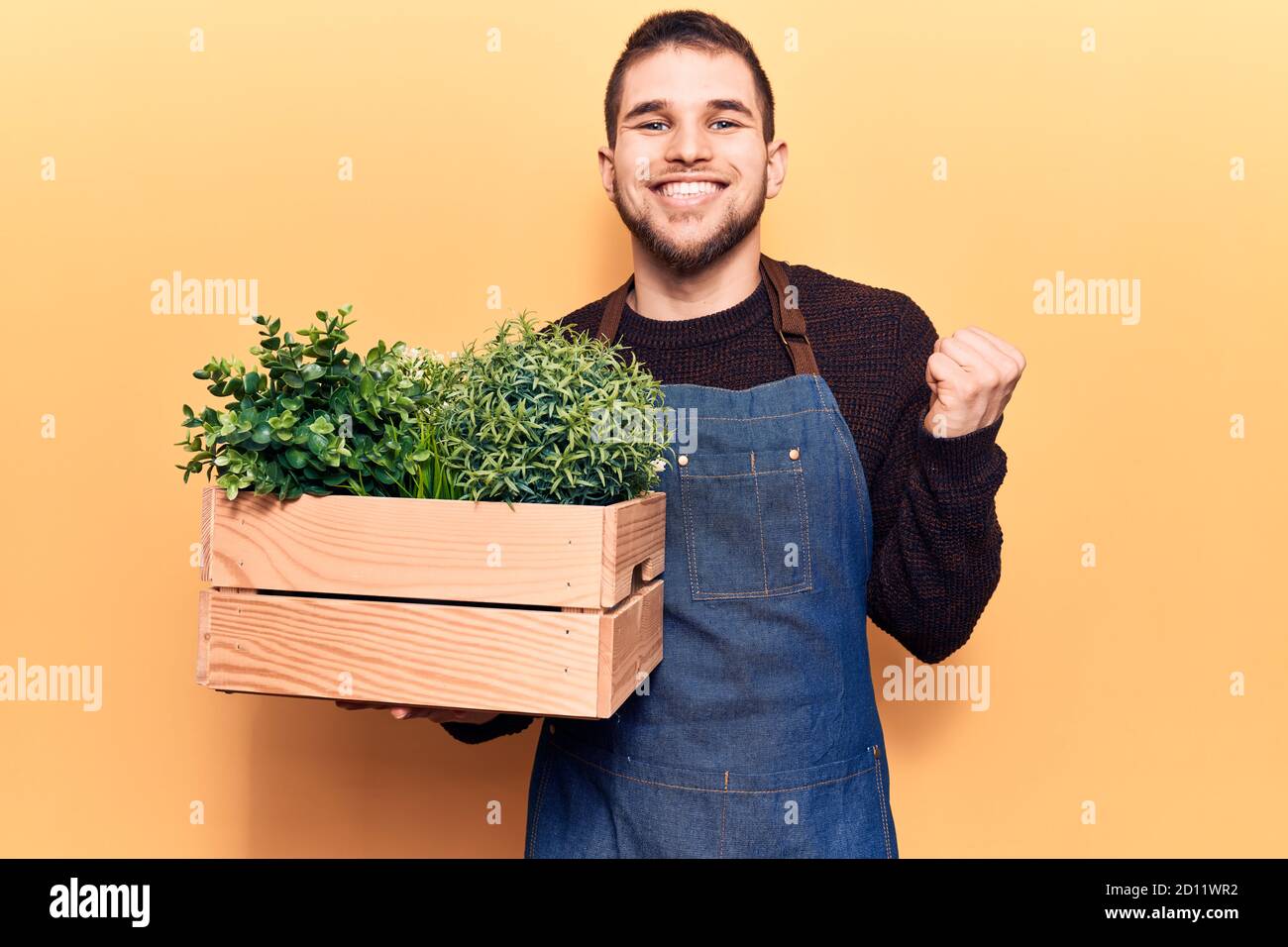 Young handsome man wearing gardener apron holding pant pot screaming proud, celebrating victory and success very excited with raised arm Stock Photo