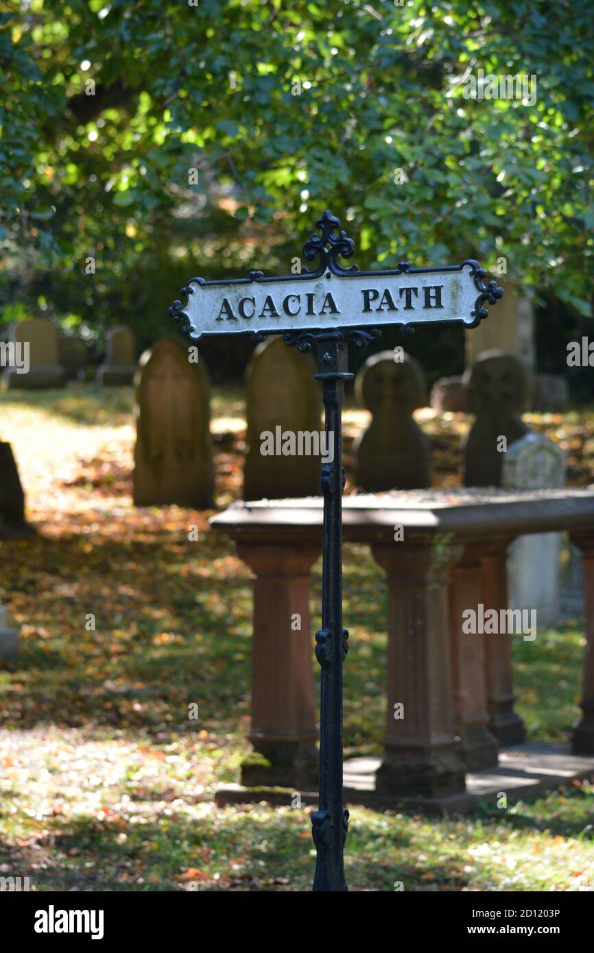 In the iconic Mount Auburn Cemetery, home to many historical figures