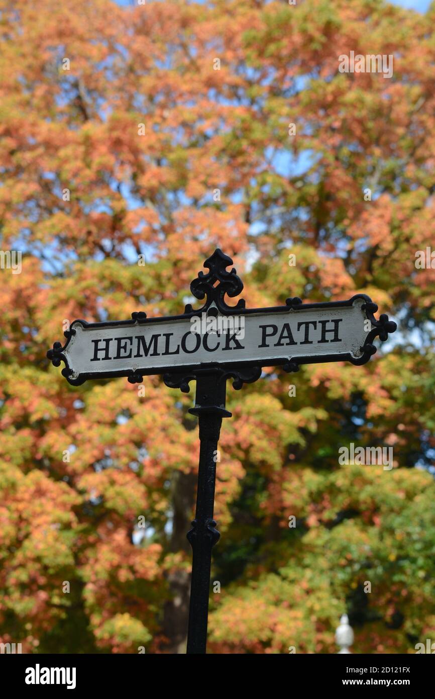 In the iconic Mount Auburn Cemetery, home to many historical figures