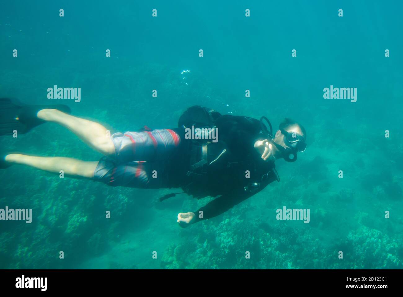 Maui, Hawaii. A scuba diver putting on a show in the pacific ocean for