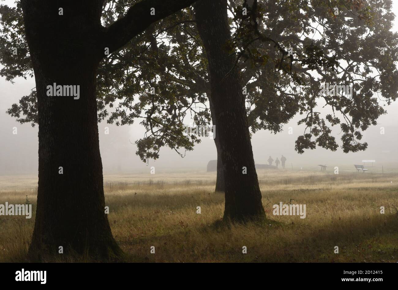 A family walks through the fog on an autumn morning at the Parks Canada Fort Rodd Hill and Fisgard Lighthouse National Historic Sites in Colwood, Brit Stock Photo