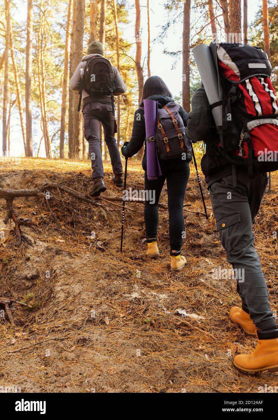 Group hiking friends backpacks hi-res stock photography and images - Alamy