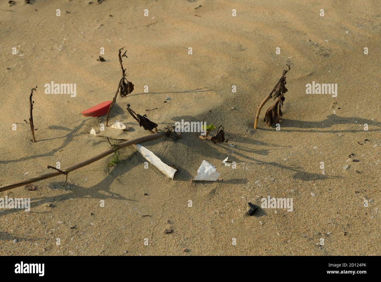 Plastic pollution, cap and food packaging in sand with plant, Durban, South Africa, litter on beach, still life, close up, illustration, recycling Stock Photo