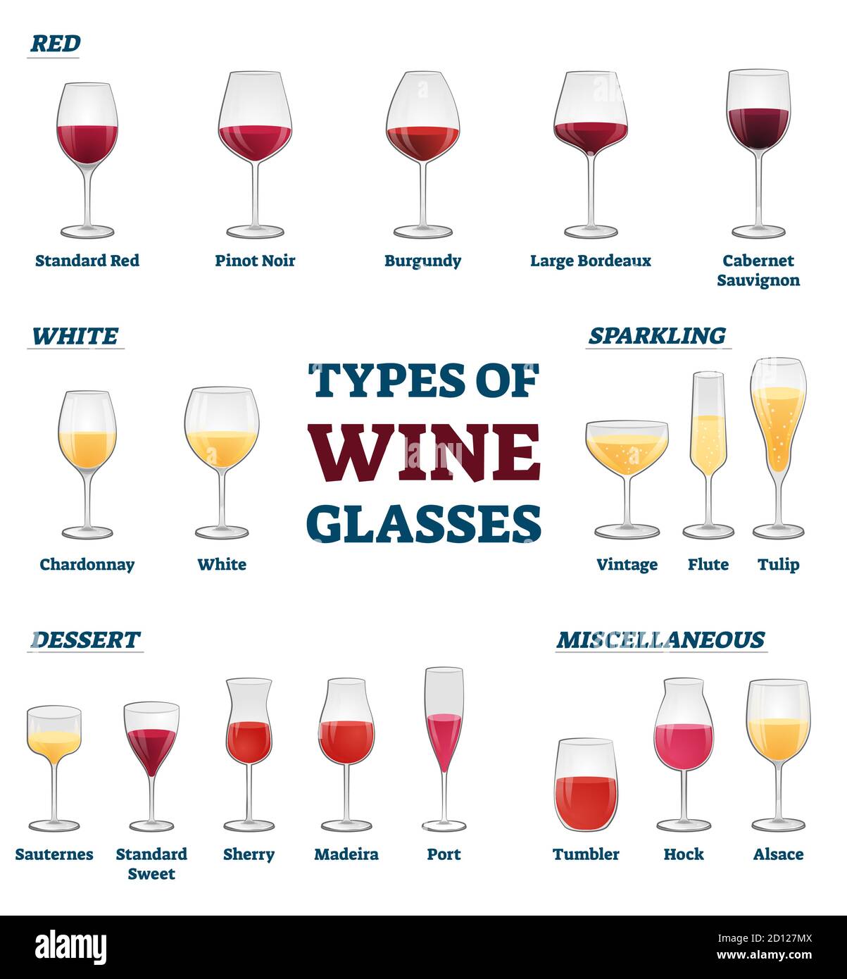 Types of wine glasses banner with educational labeled classification