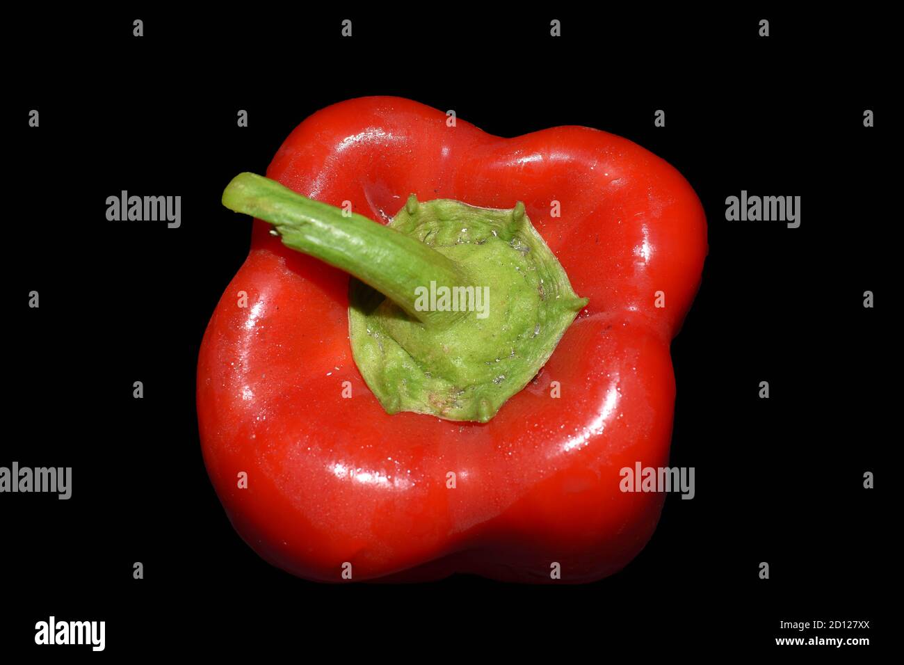 one red sweet bell pepper isolated close up on black background, produce, food photography Stock Photo