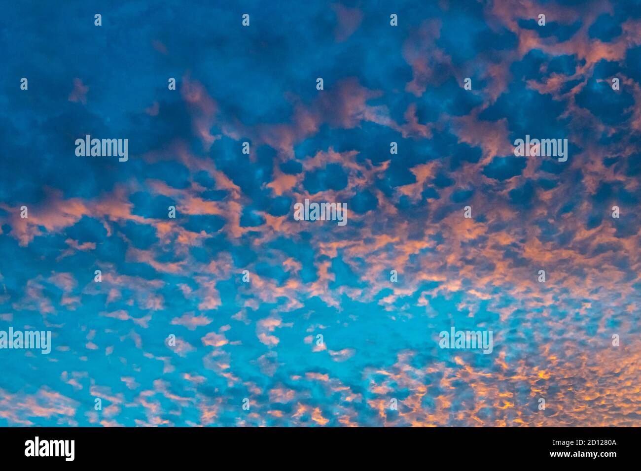 small wisps of golden clouds on a blue sky background during a sunset ...