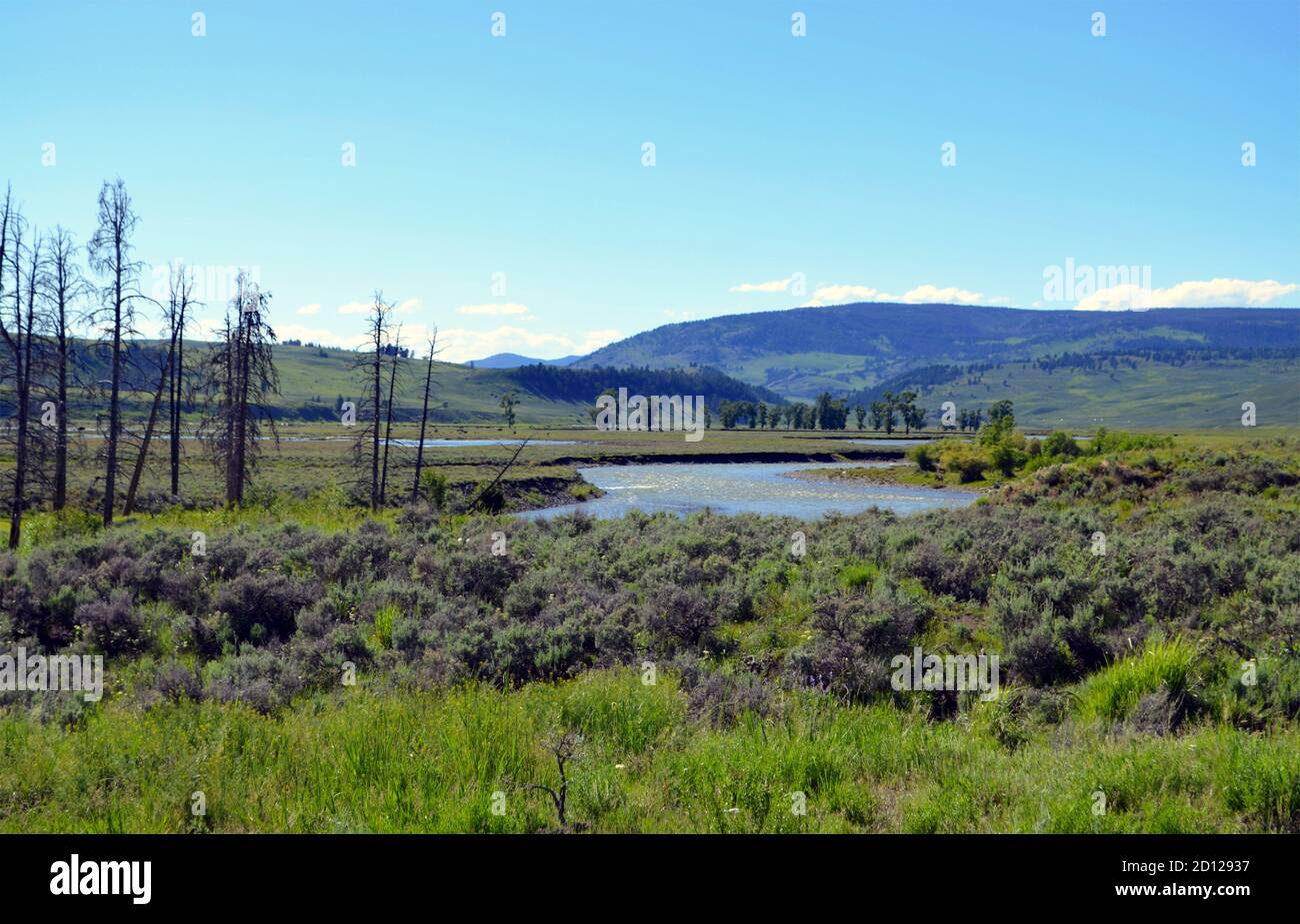 Lamar river valley hi-res stock photography and images - Alamy