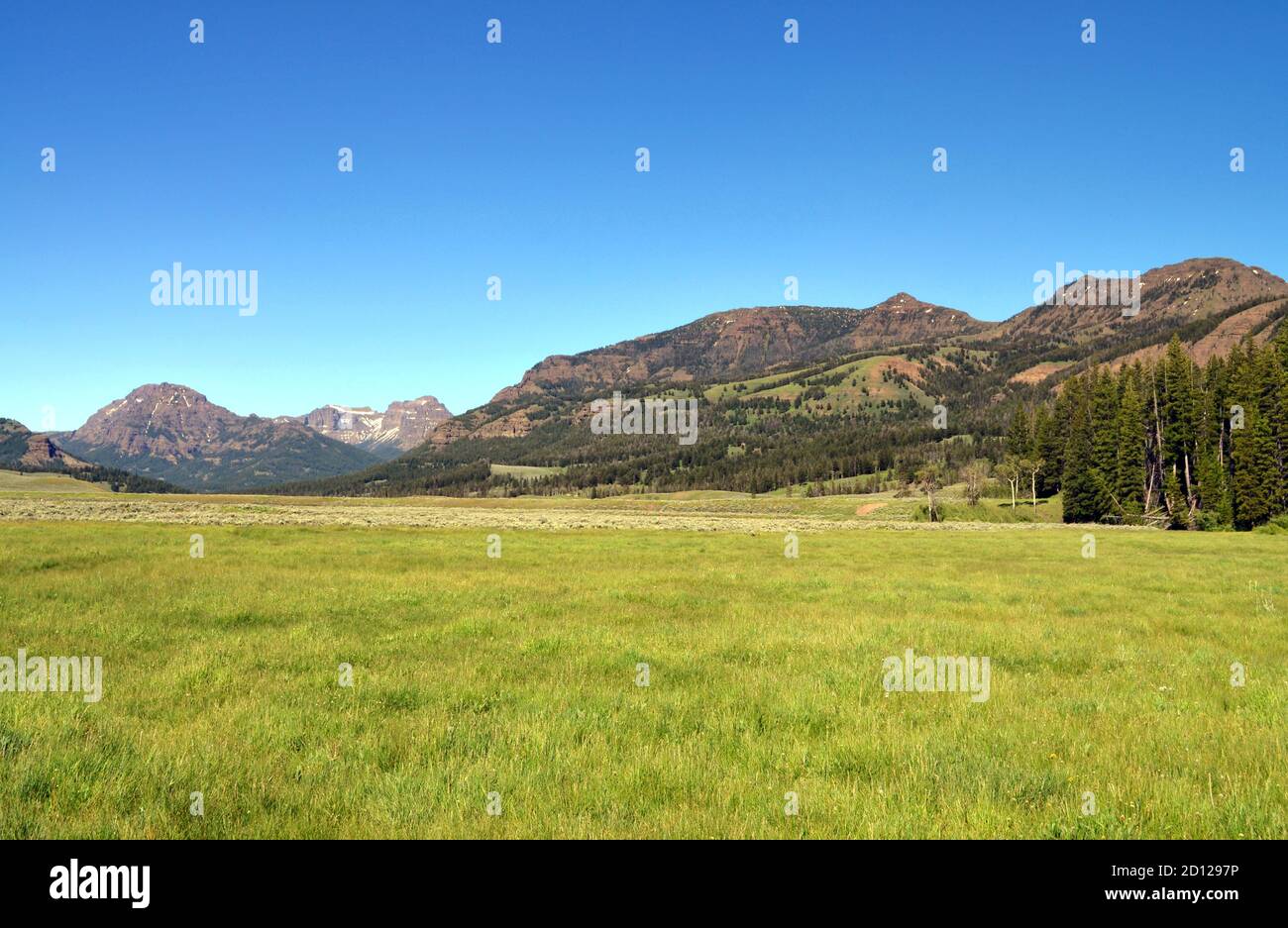Lamar valley panorama hi-res stock photography and images - Alamy