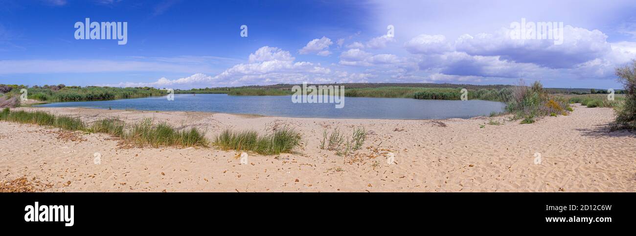 The “Litorale di Ugento” Regional Nature Park  in Apulia (Italy) boasts sandy beaches, wetlands behind the dunes, marshes, areas of woodland. Stock Photo