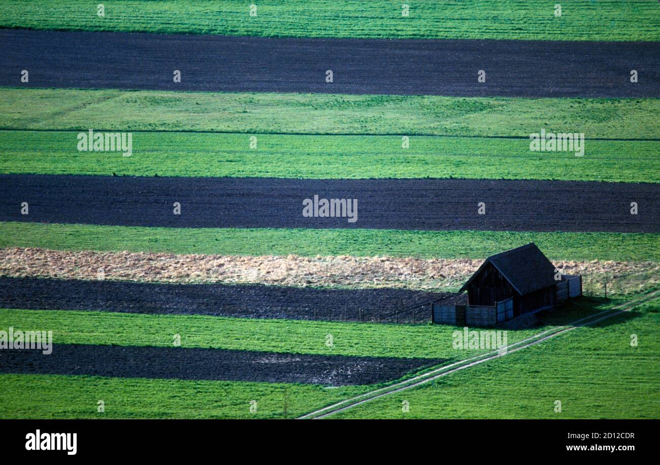 geography / travel, Austria, Vorarlberg, Feldkirch, cultivated landscape with house, Additional-Rights-Clearance-Info-Not-Available Stock Photo